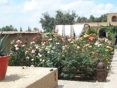 Villa in Taroudannt (Taroudannt) or holiday homes and vacation rentals