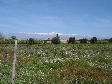 Villa in Taroudannt (Taroudannt) or holiday homes and vacation rentals