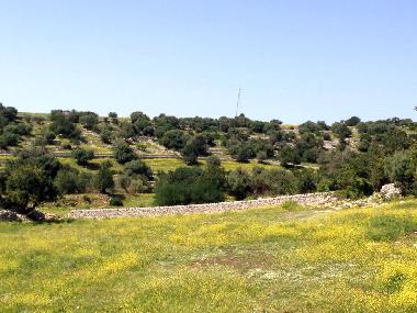 relaxing countryside