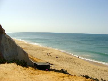 Holiday Apartment in Albufeira (Algarve) or holiday homes and vacation rentals