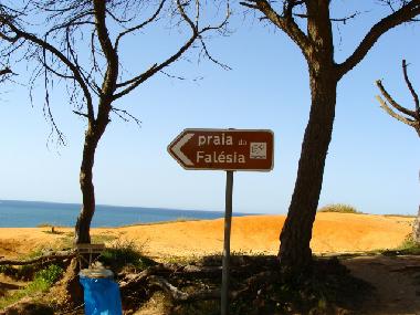 Holiday Apartment in Albufeira (Algarve) or holiday homes and vacation rentals