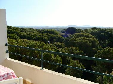 Holiday Apartment in Albufeira (Algarve) or holiday homes and vacation rentals