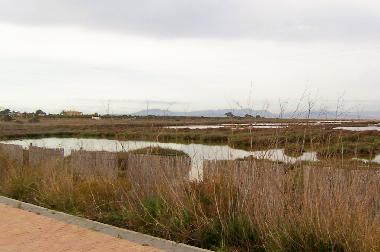 The lakes surrounding the walkway to the beach