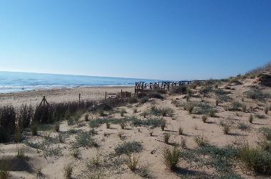 The sand dunes and unspoilt beaches