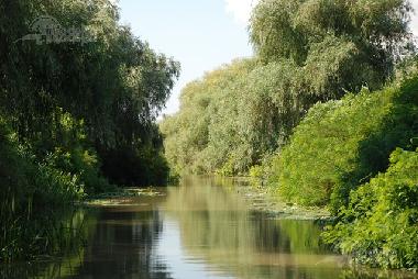 Danube Delta
