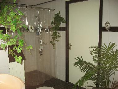 Bathroom downstairs