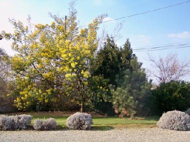 Holiday House in Lindbergh-Plage (Manche) or holiday homes and vacation rentals