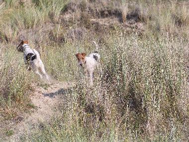 Holiday House in Lindbergh-Plage (Manche) or holiday homes and vacation rentals