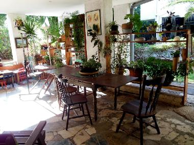 Holiday Apartment in natanya (HaMerkaz (Central)) or holiday homes and vacation rentals