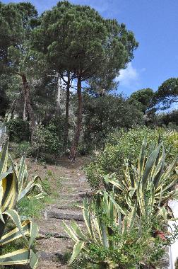 Holiday House in Lloret de Mar (Girona) or holiday homes and vacation rentals