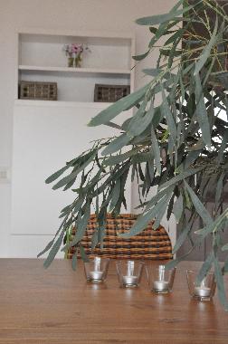 Holiday House in Lloret de Mar (Girona) or holiday homes and vacation rentals