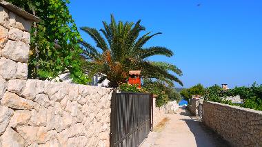 Holiday Apartment in sevid (Splitsko-Dalmatinska) or holiday homes and vacation rentals