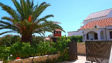 Holiday Apartment in sevid (Splitsko-Dalmatinska) or holiday homes and vacation rentals