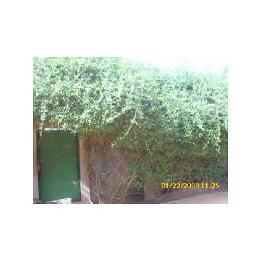 Holiday House in Adidogom (Lome) or holiday homes and vacation rentals