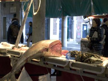 Holiday Apartment in Venezia (Venezia) or holiday homes and vacation rentals