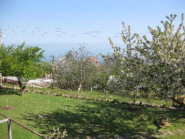 Holiday House in Balchik (Varna) or holiday homes and vacation rentals
