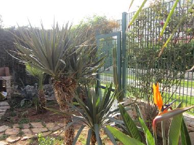 Holiday Apartment in Nard (Lecce) or holiday homes and vacation rentals