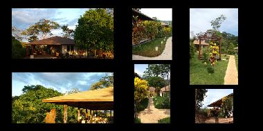 Bed and Breakfast in Panica (Puntarenas) or holiday homes and vacation rentals