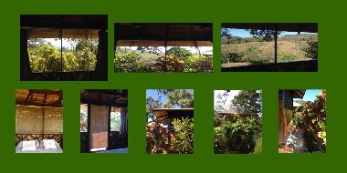 Bed and Breakfast in Panica (Puntarenas) or holiday homes and vacation rentals