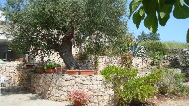 Villa in Torrevado (Lecce) or holiday homes and vacation rentals