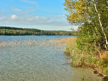 Holiday House in Userin (Mecklenburgische Seenplatte) or holiday homes and vacation rentals