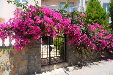 Holiday Apartment in Didim (Aydin) or holiday homes and vacation rentals