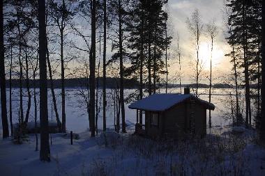 Garden in wintertime
