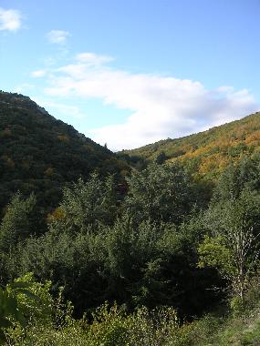 Holiday House in Cassagnoles (Hrault) or holiday homes and vacation rentals