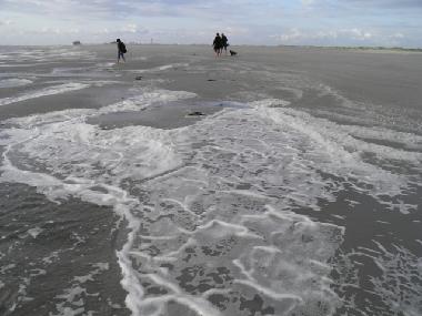 Holiday House in Sankt Peter-Ording (Nordsee-Festland) or holiday homes and vacation rentals