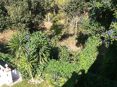 Holiday House in Pals (Girona) or holiday homes and vacation rentals