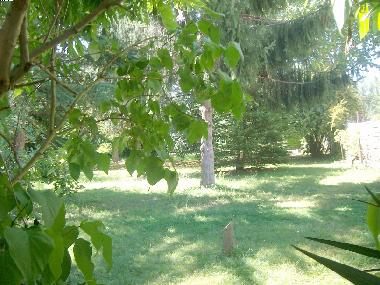 Holiday House in Gaillac-Toulza (Haute-Garonne) or holiday homes and vacation rentals