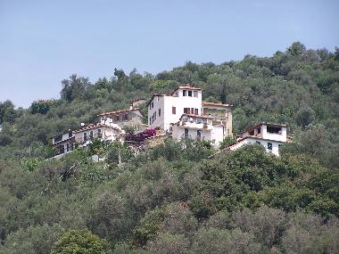 CASA WITTO amid other houses
