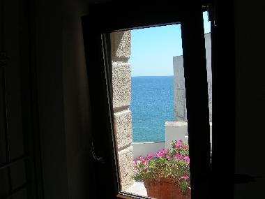 see sea