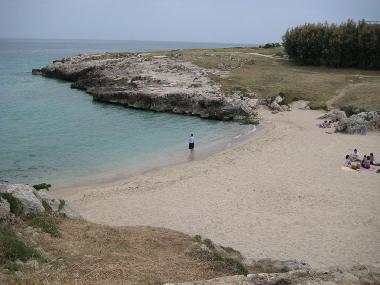 near beach