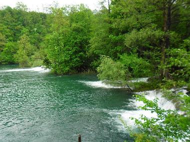 Holiday House in Zvecaj (Karlovacka) or holiday homes and vacation rentals