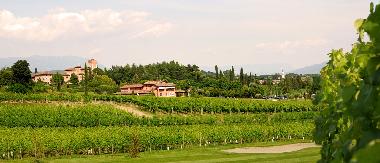 view of the resort with Castello di Spessa vineyards...yes, we also produce wines