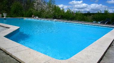 Swimming pool with Roman steps