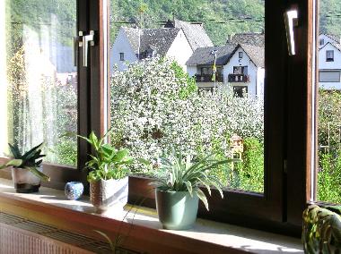 Holiday Apartment in Burgen (Mosel - Saar) or holiday homes and vacation rentals