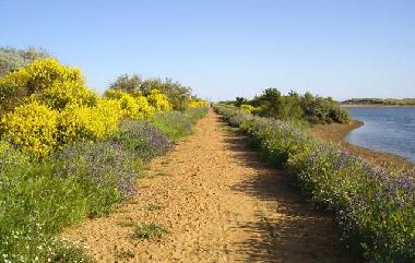 Holiday House in Portiragnes Plage (Hrault) or holiday homes and vacation rentals