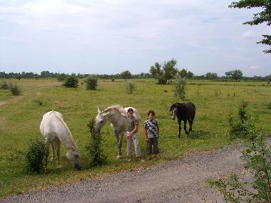 Holiday House in Portiragnes Plage (Hrault) or holiday homes and vacation rentals