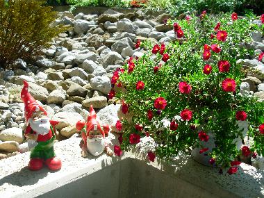 Holiday Apartment in Rickenbach SZ (Vierwaldst�ttersee) or holiday homes and vacation rentals