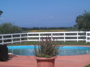 Bed and Breakfast in Rome (Roma) or holiday homes and vacation rentals