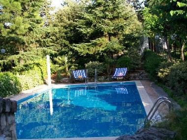 Villa in Fasano (Brindisi) or holiday homes and vacation rentals