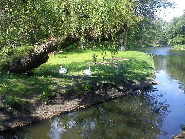 Holiday Apartment in Danzig (Pomorskie) or holiday homes and vacation rentals