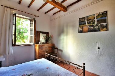Holiday House in Montalcino (Siena) or holiday homes and vacation rentals