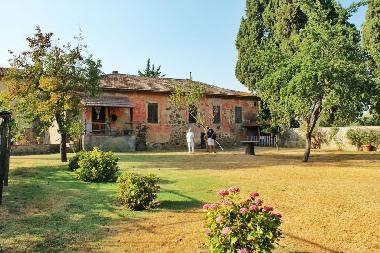 Holiday House in Montalcino (Siena) or holiday homes and vacation rentals