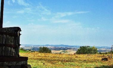 Holiday House in Montalcino (Siena) or holiday homes and vacation rentals