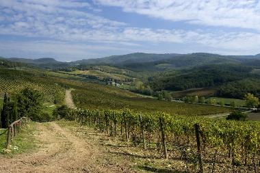 Holiday House in Montalcino (Siena) or holiday homes and vacation rentals