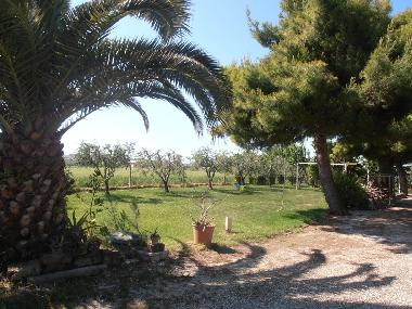 Holiday House in Porto Sant'Elpidio (Ascoli Piceno) or holiday homes and vacation rentals