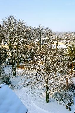 Holiday Apartment in Trier (Mosel - Saar) or holiday homes and vacation rentals